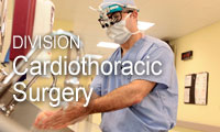 The clinical, training, and research components of Emory's Division of Cardiothoracic Surgery.