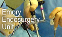 Graphic link to the Emory Endosurgery Unit section of the Emory Department of Surgery website.