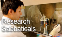 lab image for graphic link to research sabbatical information