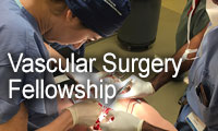 vascular surgery fellows in training