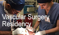 vascular surgery residents engaged in training