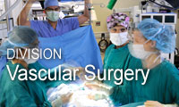 Division of Vascular Surgery and Endovascular Therapy, Department of Surgery, Emory University School of Medicine
