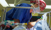 Image for 
                                            Pediatric Surgery Residency & Clinical Fellowship