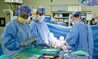 Image for 
                                            Abdominal Transplant Surgery Fellowship